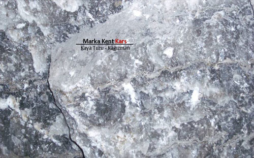 Marka Kent Kars 13