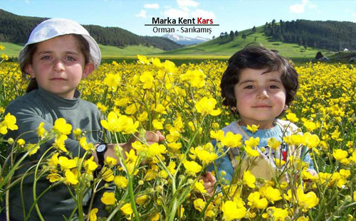 Marka Kent Kars 4 7