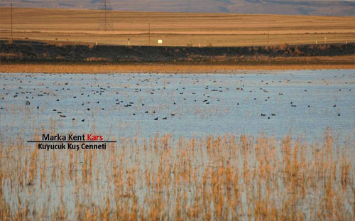 Marka Kent Kars 5 galerisi resim 3