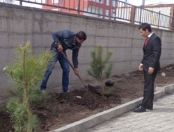 Anadolu Lisesi’nde fidan dikimi