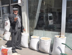 Çiftçi, tohum ve mazot derdinde