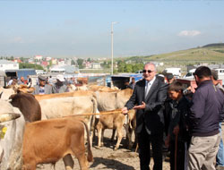 Eti 10 liradan satmaya hazırlar