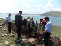 Aygır Gölü Ağaçlandırma Projesi