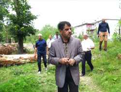 Kars’ın çılgın projesi ve dev ağaçlar