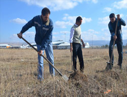Kars’ta fidan dikimi