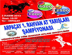 Rahvan at yarışları şampiyonası