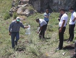 Yeni Habitatlarına Taşındılar