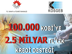 100 bin lirayı kimler alacak