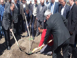 Ceviz fidanları Oğuzlu da boy gösterecek