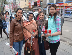 Belediye Annelere Karanfil Dağıttı