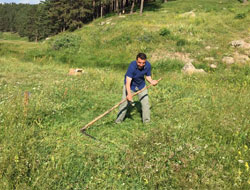 Başkan Toksoy tırpan salladı