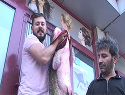 45 dakikada yakaladılar