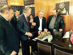 Arslan ve Beyribey, Şeker Fabrikasında