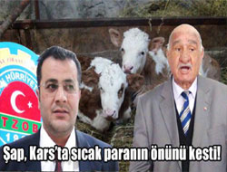 Şap, sıcak paranın önünü kesti