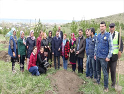 AK Partiden Anneler Günü Etkinliği
