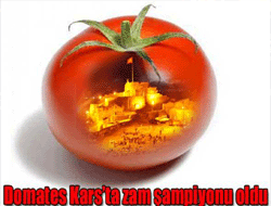 Domates Kars’ta zam şampiyonu oldu