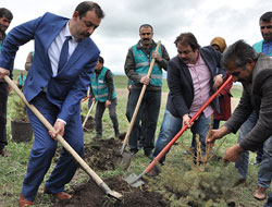 Kars Denetimli Serbestlik Müdürlüğü Hatıra Ormanı Oluşturdu