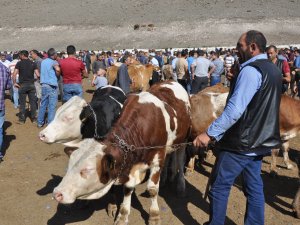 Hayvan Pazarında durgunluk