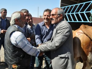 700 kiloluk Mercan 11 bin liraya satıldı