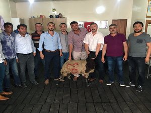 Ülkü Ocakları Şehit ailelerini unutmadı