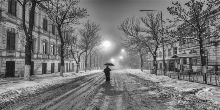 Fotoğraf Sanatçısı Murat Kaya'dan bir başarı daha