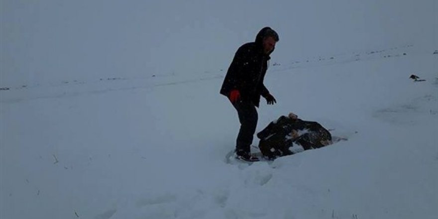 Yahni Dağı'nda yabani hayvanlara yem bırakıldı