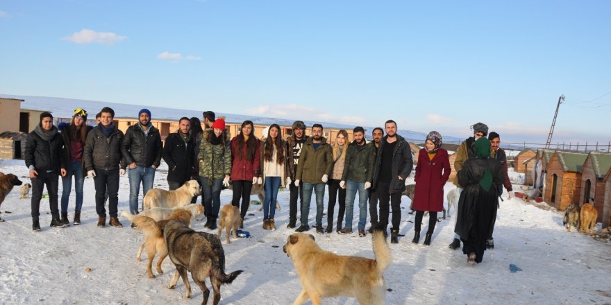 KAÜ İnovatif Gençlik Kulübü sokak köpeklerini besledi