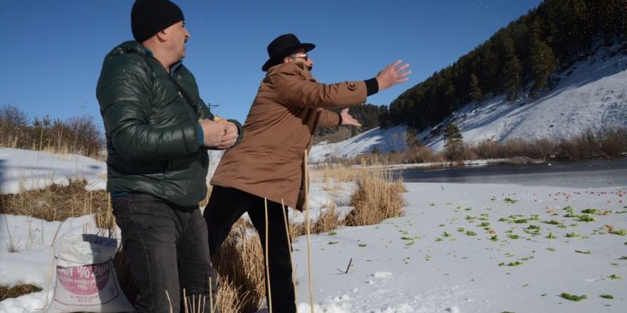 Duyarlı esnaf yaban hayata sahip çıktı