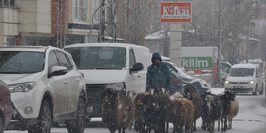 Kars’ta lapa lapa kar yağıyor