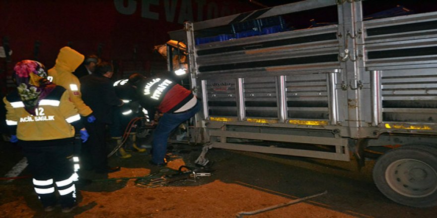 Kars'tan Çorum'a giden büyükbaş hayvan yüklü tır kaza yaptı