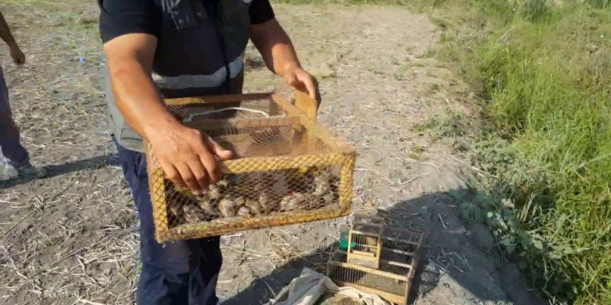 Sarıkamış’ta kuş kaçakçıları yakayı ele verdi 