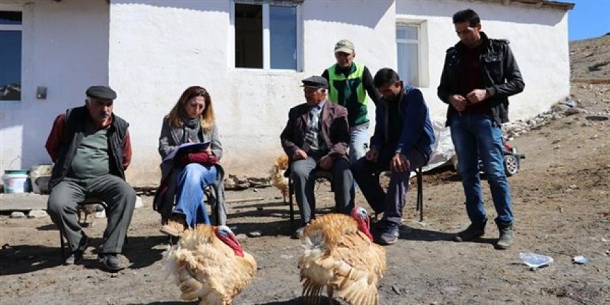 Tarımsal işletme ziyaretleri devam ediyor