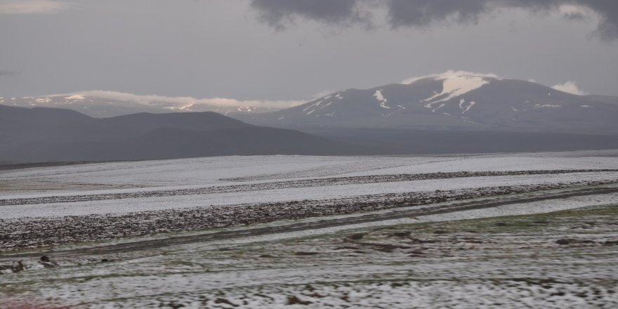 Kars’ta ekili alanları dolu vurdu