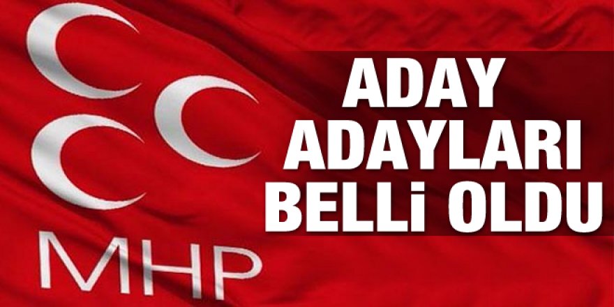 MHP Kars Milletvekili Aday Adayları