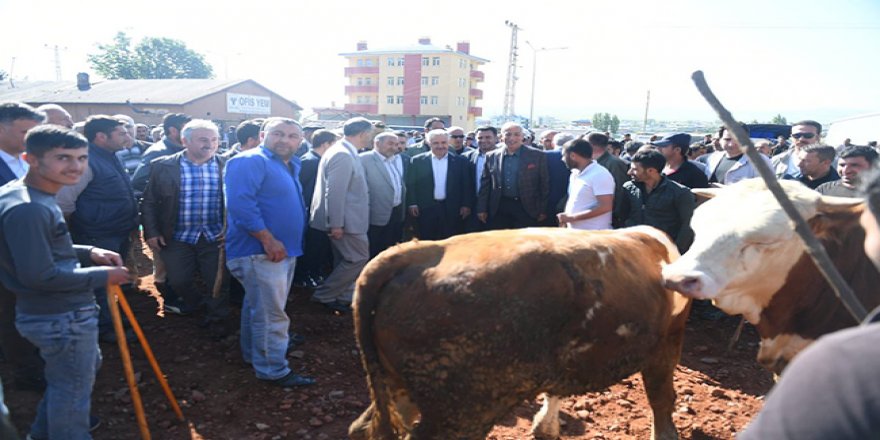 ​​​​​​​Bakan Arslan, Hayvan Pazarını İnceledi