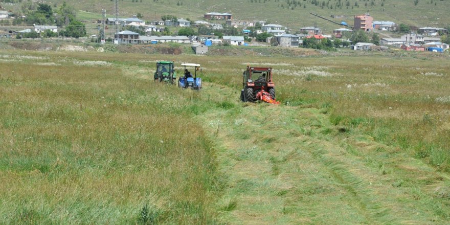 Kars’ta çiftçilerin ot biçme mesaisi başladı