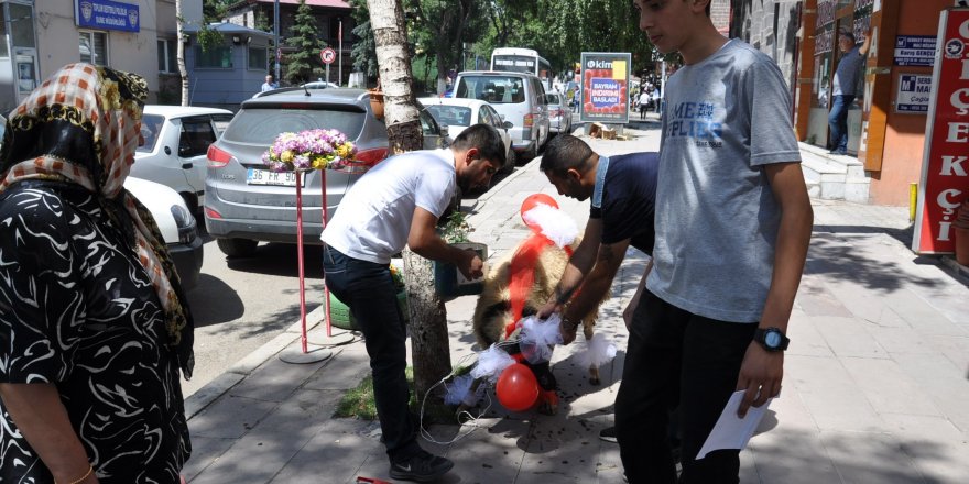 Kars’ta gelin koçu geleneği sürüyor