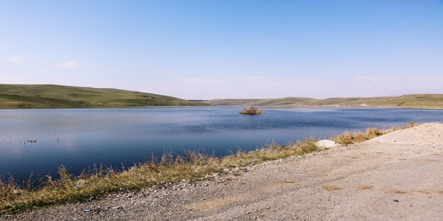 Kars Barajında, görsel güzellik herkesi hayran bırakıyor