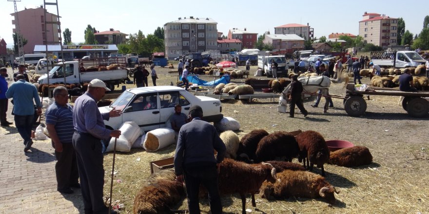 Kurban pazarında bayram yoğunluğu