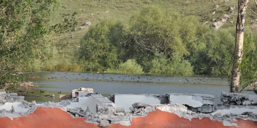 Kars Baraj Gölü yaban hayatına ev sahipliği yapıyor