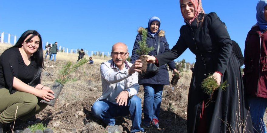 KYK'lı öğrenciler bin fidanı toprakla buluşturdu