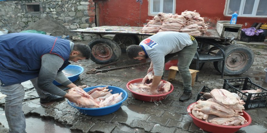 Kars’ta kar yağdı, kazlar kesilmeye başladı