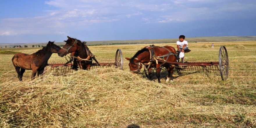 2018 yılı ÇKS başvuruları için son gün 31 Aralık