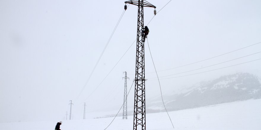 ‘Kar Kaplanları' ölüme meydan okuyor