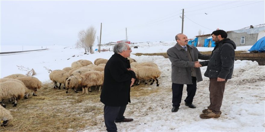 Kars'ta Genç Çiftçi projesi meyvelerini veriyor