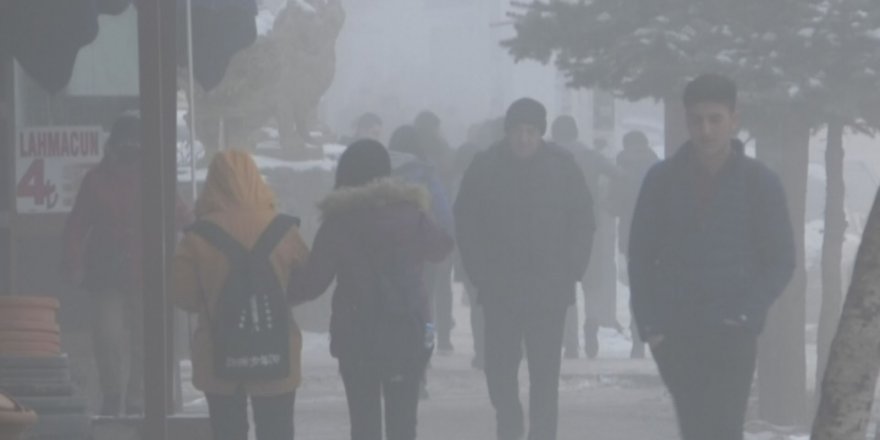 Kars'ta sis etkili oldu