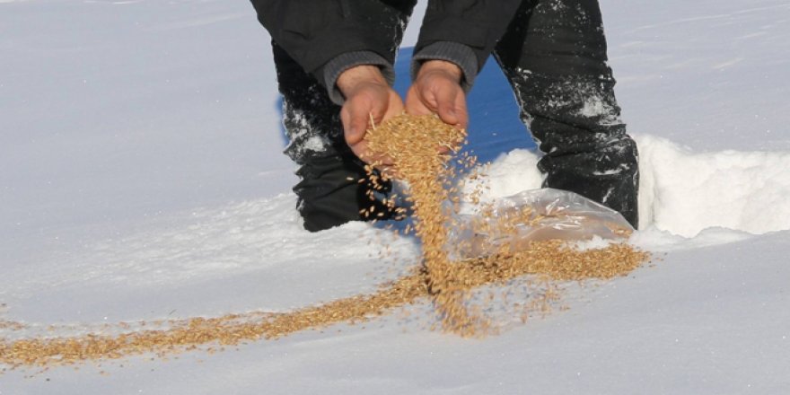 Kars’ta yaban hayvanları için doğaya yem bırakıldı