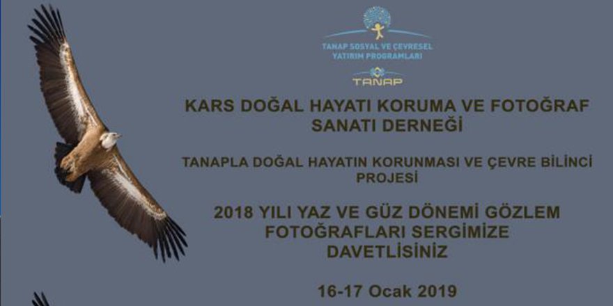 Kars'ta Doğal Hayatın Fotoğraf Sergisi Açılıyor