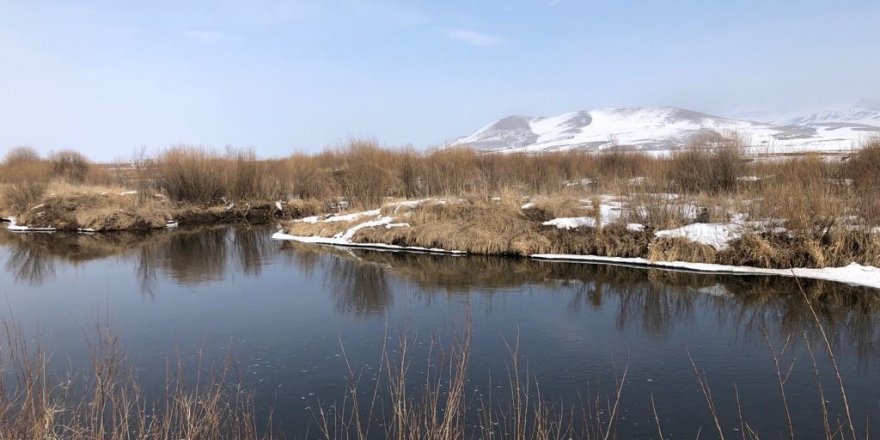 Kars Çayı'nın buzları çözülmeye başladı