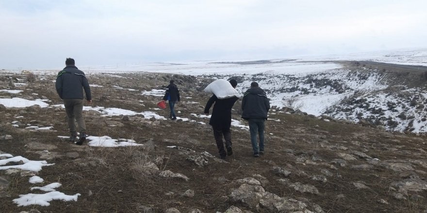 Kars’ta yaban hayvanlara yem bırakılıyor